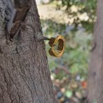 پیرسینگ استیل گوش فیک - تصویر 2